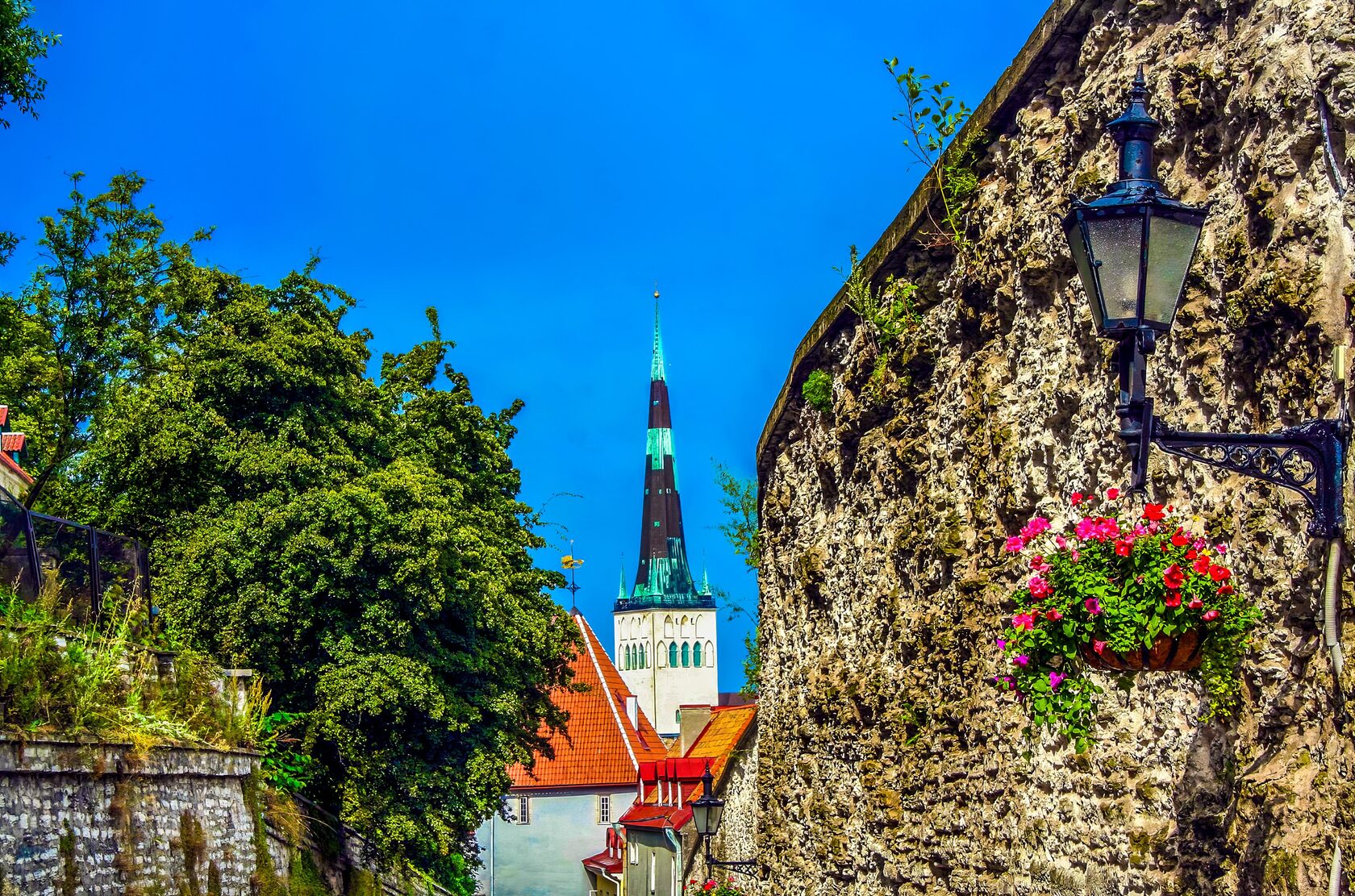 Kelionės nuotrauka