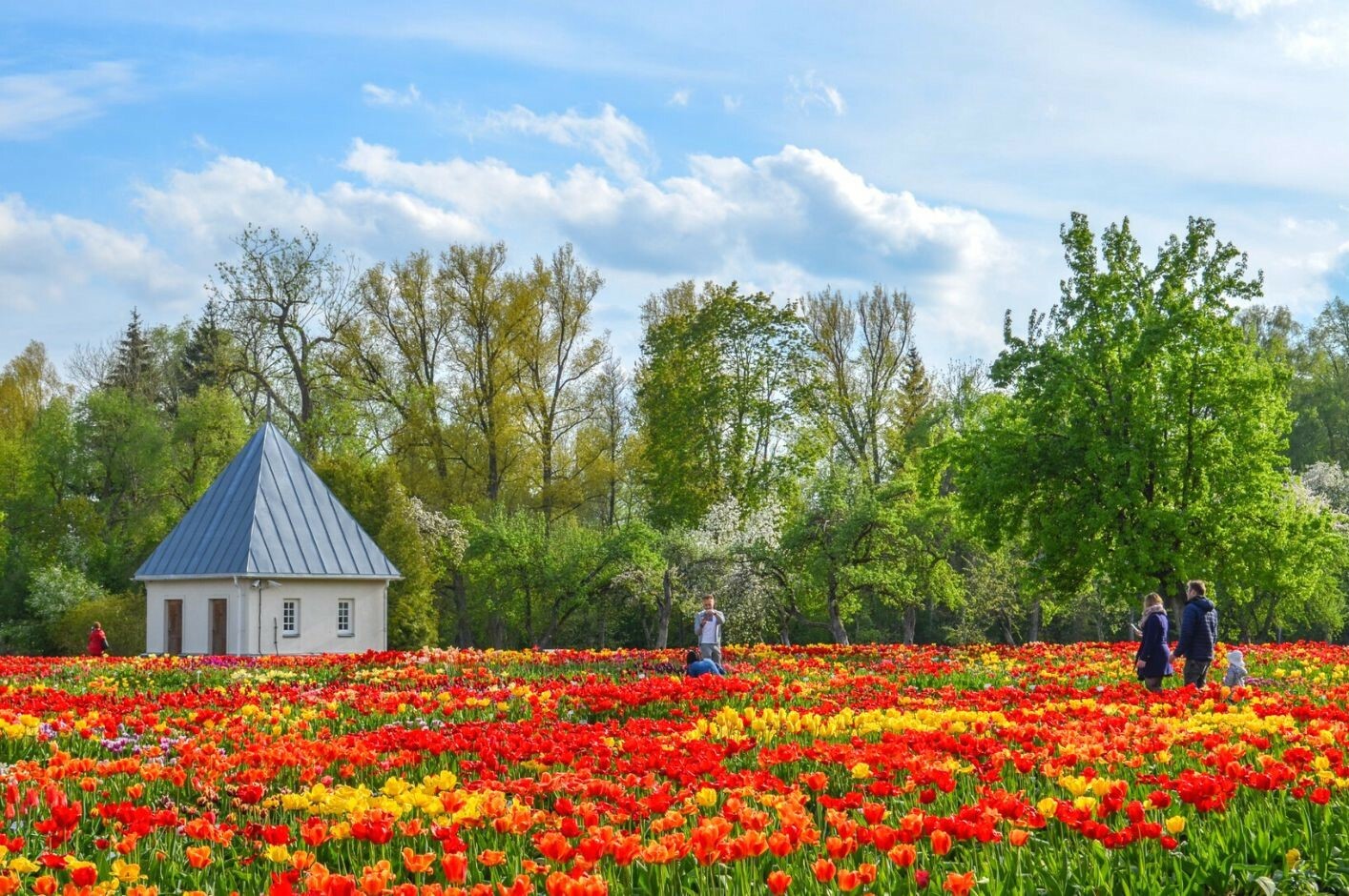 Kelionės nuotrauka