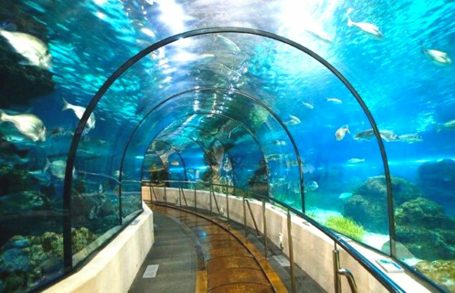 Kelionės nuotrauka