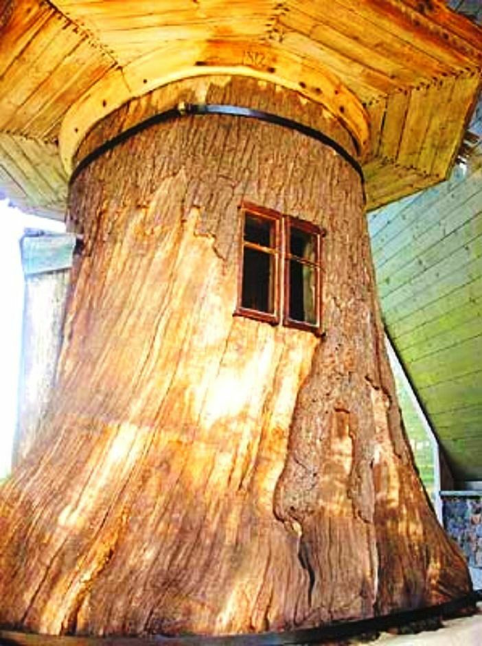 Kelionės nuotrauka