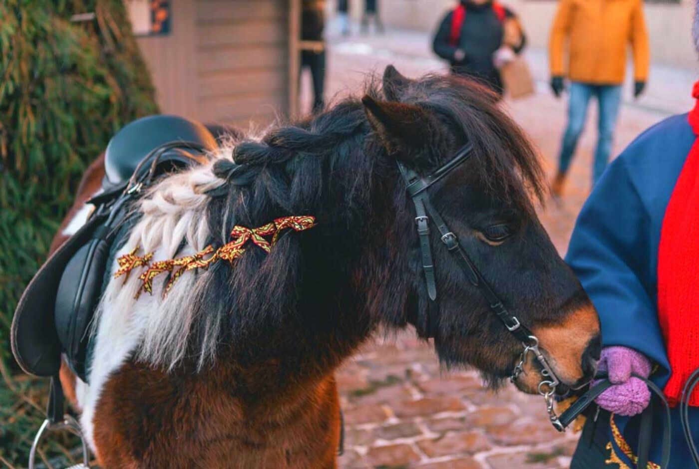 Kelionės nuotrauka